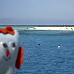 Michaelmas Cay, Australia