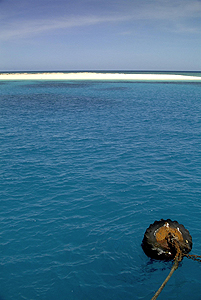 michaelmas cay